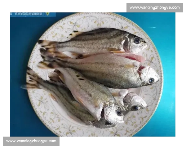 岱山海钓者意外发现：不同鱼类竟有独特 “语言”，百年渔谚暗藏声学密码